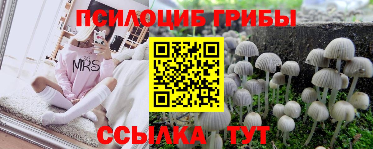 Гагарин  Галлюциногенные грибы ЛСД  Вход с VPN 